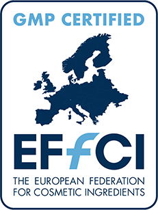 Logo EFFCI 23